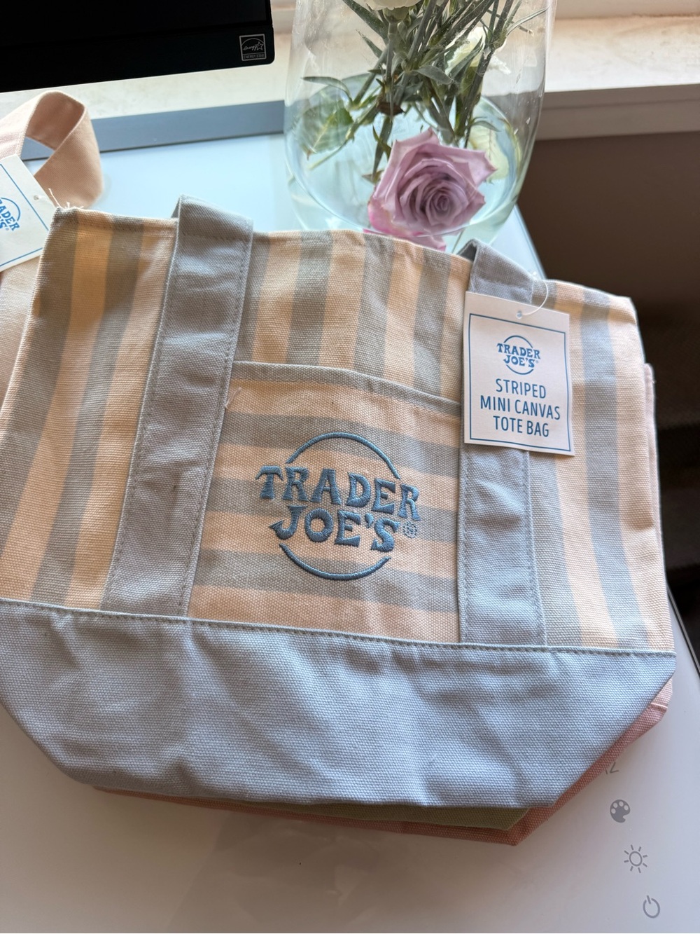 Trader Joe's Striped Mini Canvas Tote Bag in Light blue and Cream